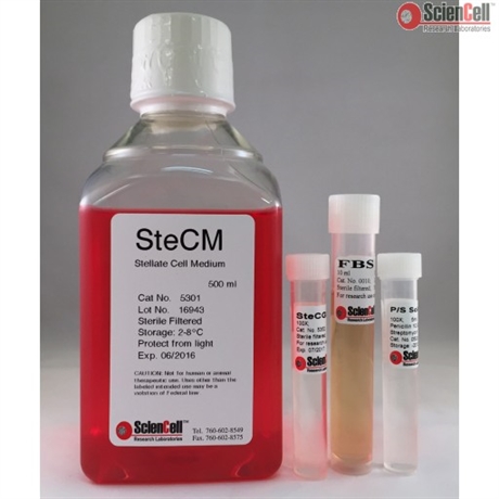 Human Stellate Cell Medium-basal-phenol red free, 2 x 500 ml