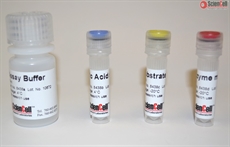 Uric Acid Assay