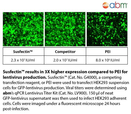Susfectin™ Transfection Reagent, Biodegradable Polymer-Based