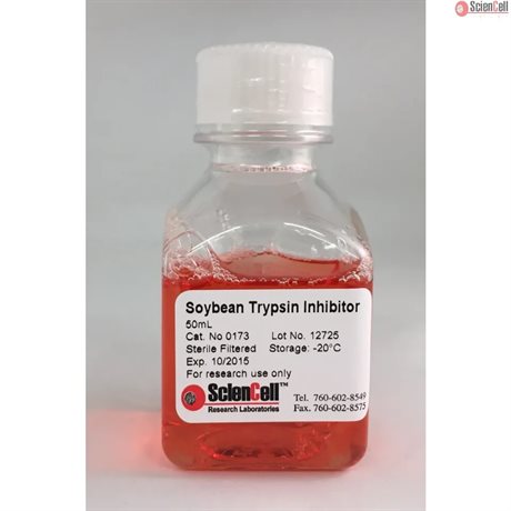 Soybean Trypsin Inhibitor