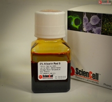 Alizarin Red S Staining Kit