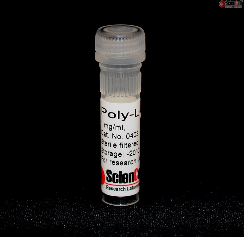 Poly-L-Lysine, 1 mg/ml