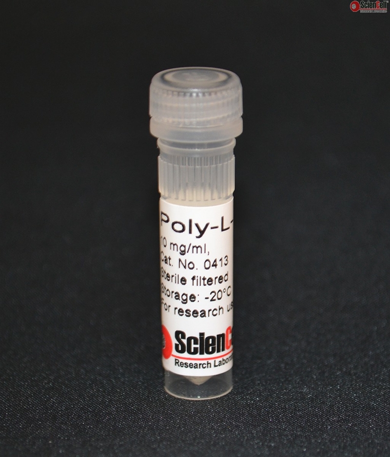 Poly-L-Lysine of Cell Culture Coating Solution for Enhancing Cell Adhesion, PLL