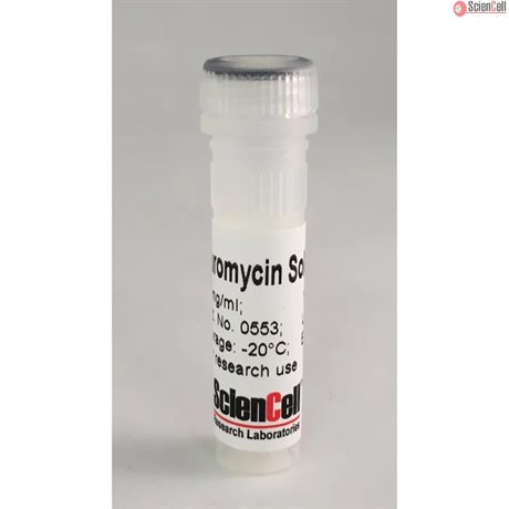 Puromycin, PURO-1