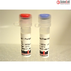 Human Stem Cell Pluripotency Detection qPCR Kit
