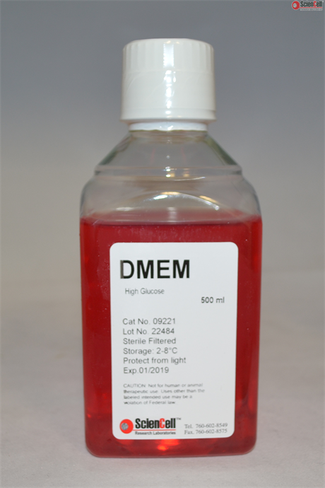 DMEM with High-Glucose, L-Glutamine and Sodium Pyruvate