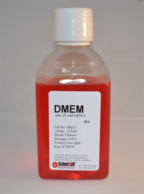DMEM with L-Glutamine, Sodium Pyruvate and 25 mM HEPES