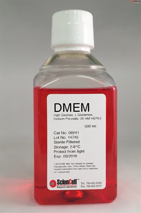 DMEM with High-Glucose, L-Glutamine, Sodium Pyruvate and 25 mM HEPES