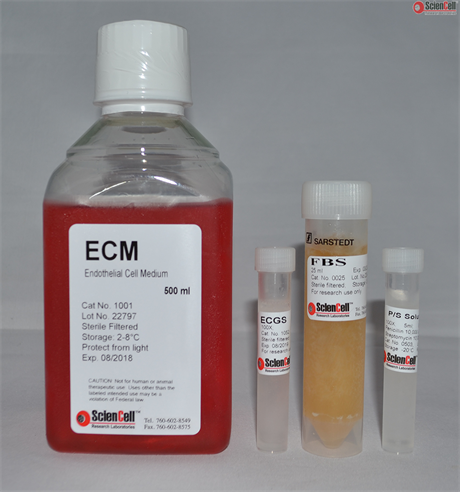 Human Endothelial Cell Medium-complete, ECM, 2 x 500 ml