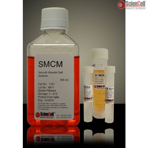Human Smooth Muscle Cell Medium-complete, 2 x 500 ml