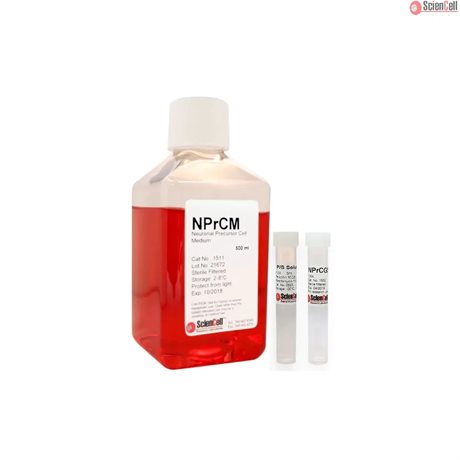 Human Neural Precursor Cell Medium-complete, 2x 500 ml