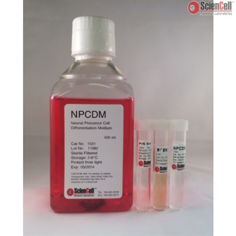 Neural Precursor Cell Differentiation Medium-complete 2 x 500 ml