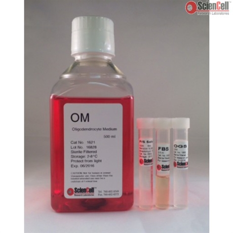 Oligodendrocyte Medium-complete 2 x 500 ml