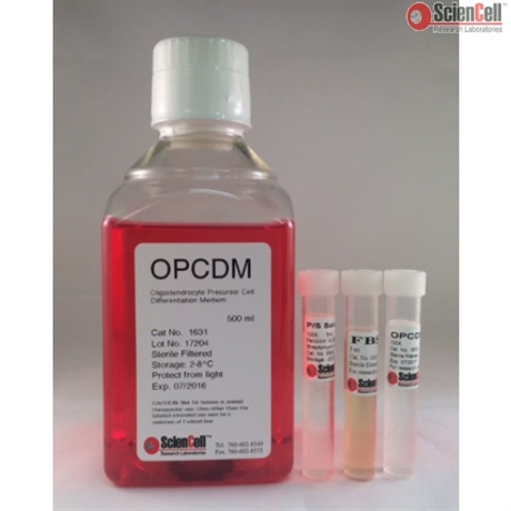 Oligodendrocyte Precursor Cell Differentiation Medium-complete, 2 x 500 ml