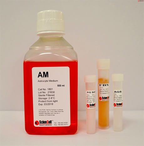 Primary Astrocyte Culture Medium-complete, Low Serum Medium