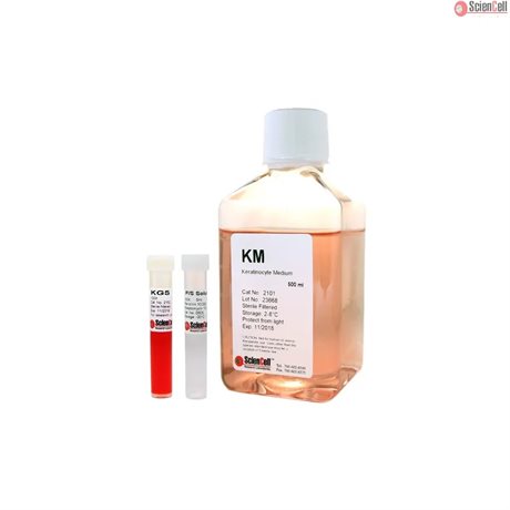 Human Keratinocyte Medium-complete 2 x 500 ml