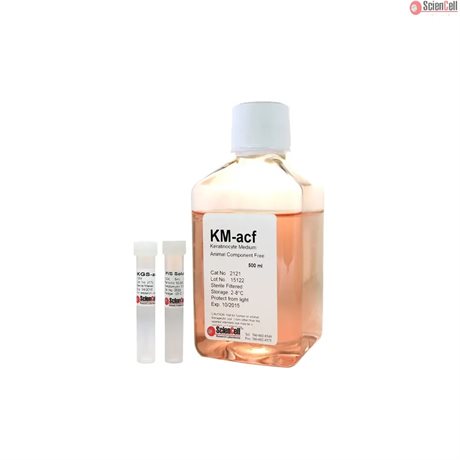 Human Keratinocyte Medium-animal component free-basal, 2 x 500 ml