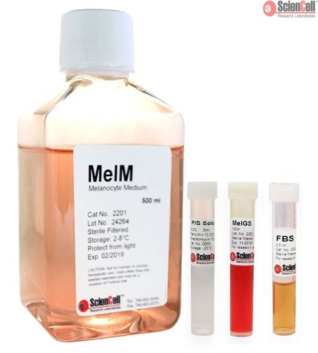 Human Melanocyte Medium, 2 x 500 ml