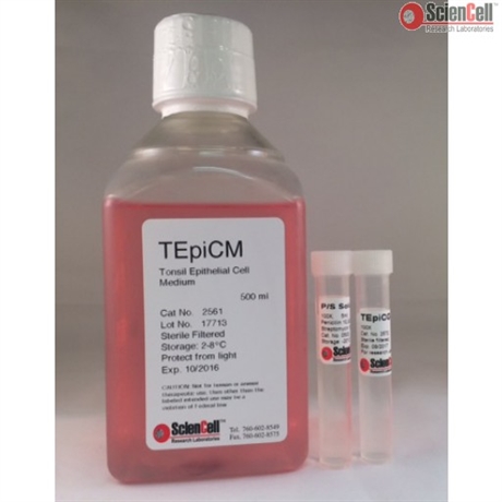 Human Tonsil Epithelial Cell Medium-basal-phenol red free, 2 x 500 ml