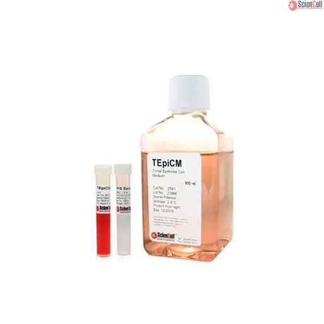 Human Tonsil Epithelial Cell Medium-basal, 2x 500 ml