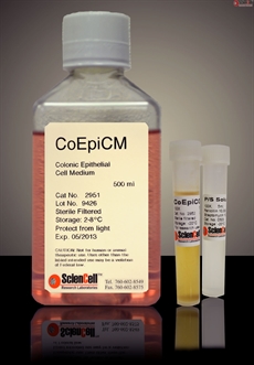 Human Colonic Epithelial Cell Medium-basal-phenol red free, 2 x 500 ml