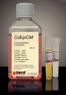 Human Colonic Epithelial Cell Medium-basal, 2 x 500 ml