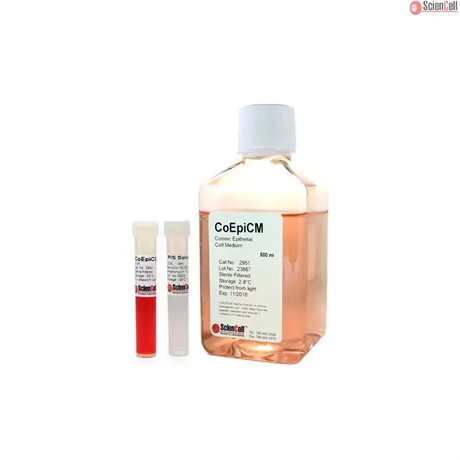 Human Colonic Epithelial Cell Medium-basal, 2x 500 ml