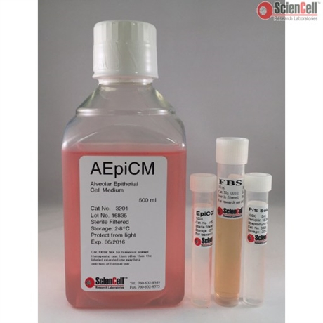 Human Alveolar Epithelial Cell Medium, 2 x 500 ml