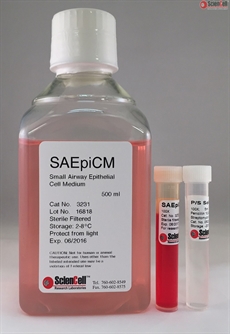Human Small Airway Epithelial Cell Medium, 2 x 500 ml
