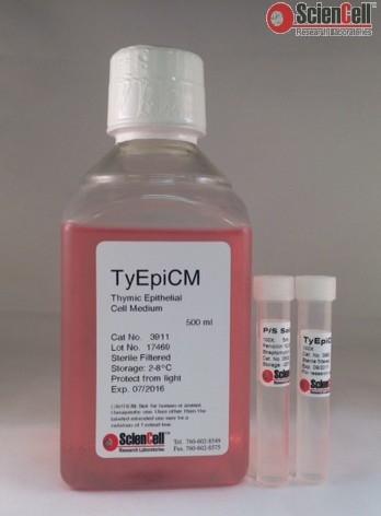 Human Thymic Epithelial Cell Medium-basal-phenol red free, 2 x 500 ml