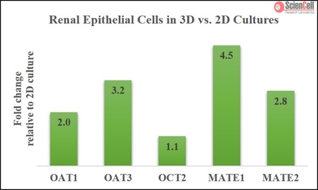 3D Renal Tubule Formation Kit