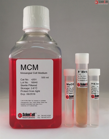 Human Mesangial Cell Medium, 2 x 500 ml