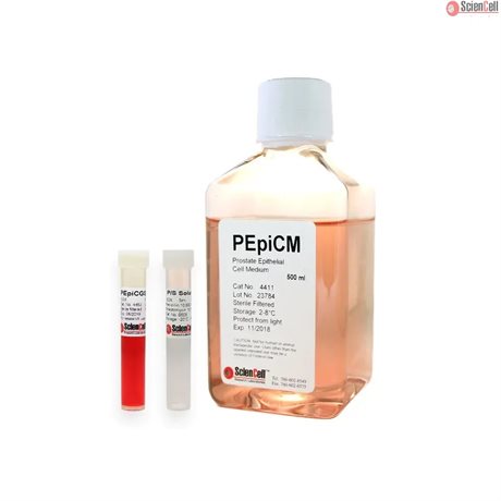Human Prostate Epithelial Cells Medium-basal, 2x 500 ml