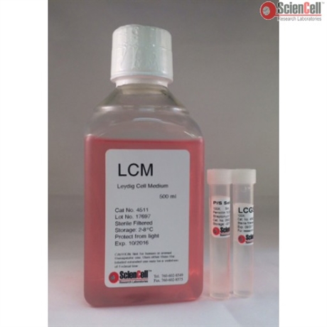 Human Leydig Cell Medium-basal, 2 x 500 ml