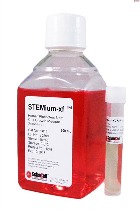 STEMium® Human Pluripotent Stem Cell Growth Medium-xeno free, 2 x 500 ml