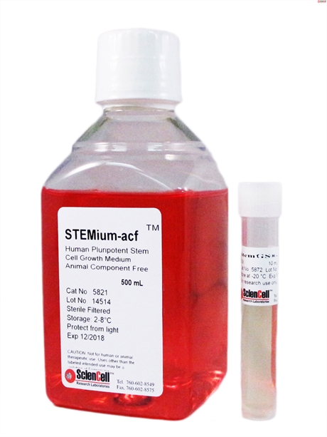STEMium® Human Pluripotent Stem Cell Growth Medium-animal component free, 2 x 500 ml