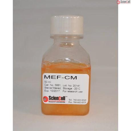 Mouse Embryonic Fibroblast-Conditioned Medium, 100 ml