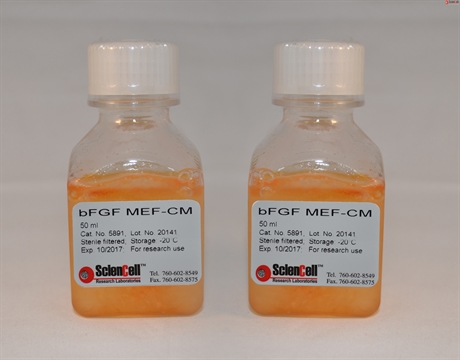 bFGF-Stimulated Mouse Embryonic Fibroblast Conditioned Medium, 2 x 100 ml