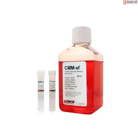 Human Cardiac  Myocyte Medium-serum free, 2x 500 ml