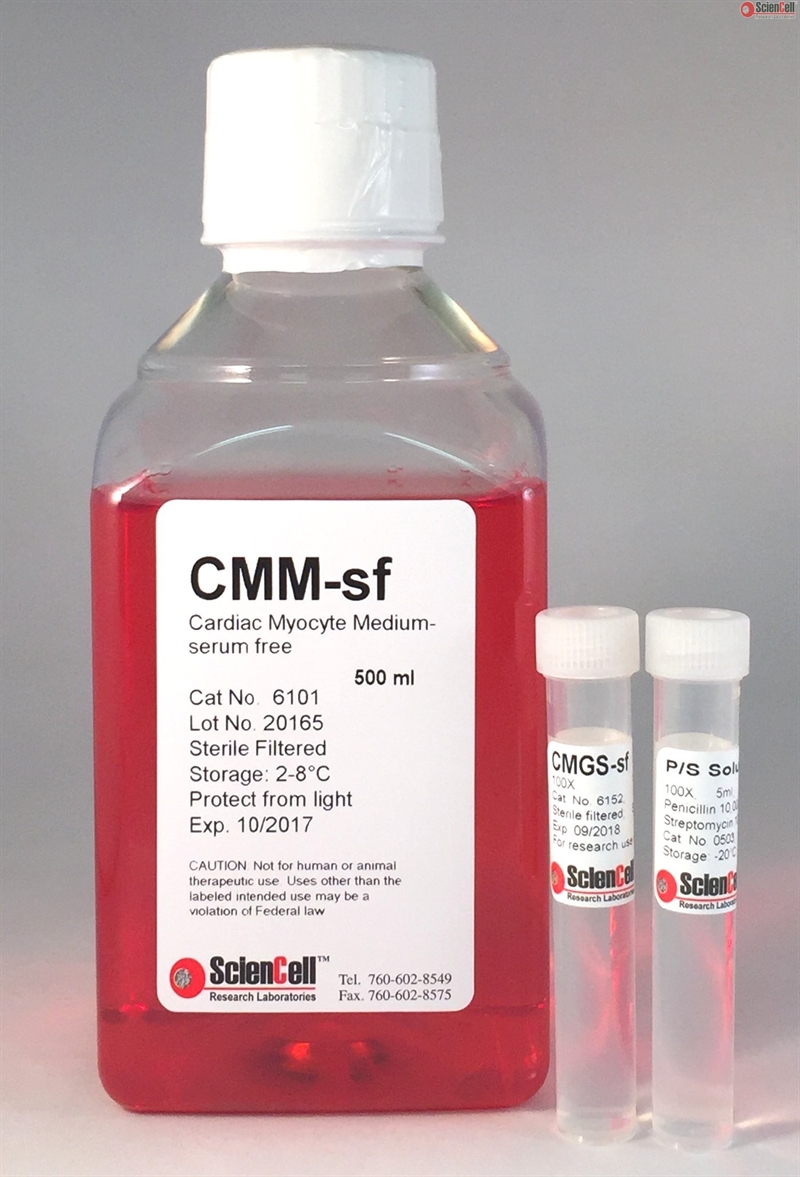 Human Cardiac  Myocyte Medium-serum free-phenol red free, 2 x 500 ml
