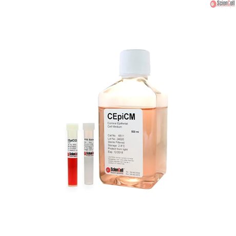 Human Corneal Epithelial Cell Medium, 2x 500 ml