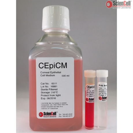 Human Corneal Epithelial Cell Medium-basal-phenol red free, 2 x 500 ml
