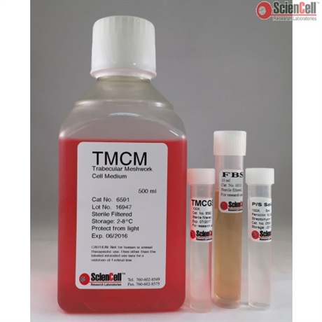 Human Trabecular Meshwork Cell Medium-basal-phenol red free, 2 x 500 ml