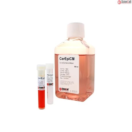 Human Cervical Epithelial Cell Medium-basal, 2x 500 ml