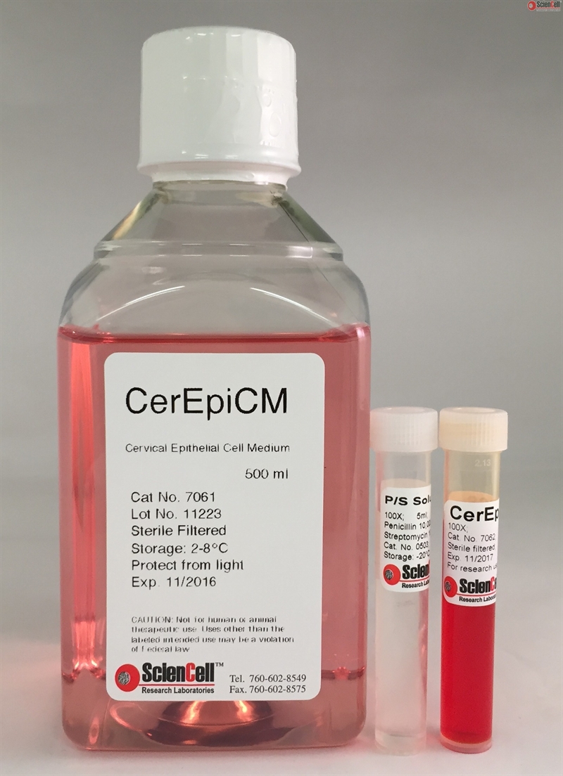 Human Cervical Epithelial Cell Medium-phenol red free, 2 x 500 ml