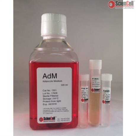 Human Adipocyte Medium, 2 x 500 ml