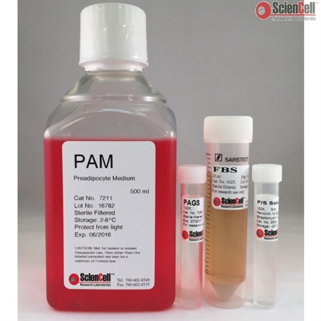 Human Preadipocyte Medium-basal, 2 x 500 ml