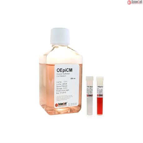 Human Ovarian Epithelial Cell Medium, 2x 500 ml