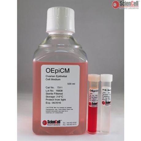 Human Ovarian Epithelial Cell Medium-basal, 2 x 500 ml