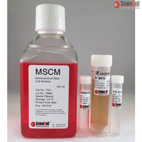 Mesenchymal Stem Cell Medium, 2 x 500 ml